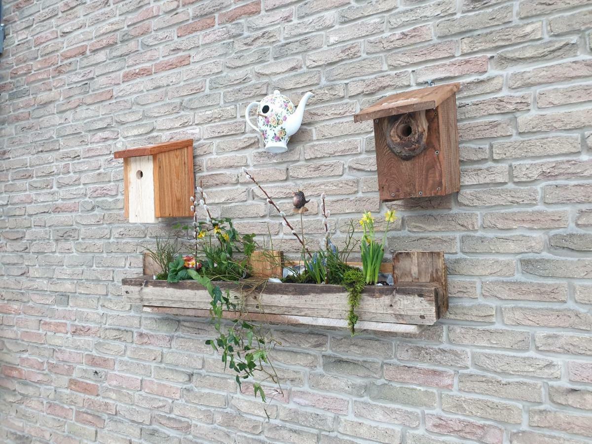 Ferienwohnung Vogelvilla Altenbeken Zewnętrze zdjęcie